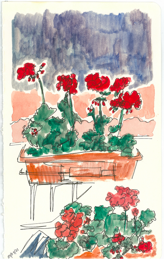 Geranium Sunset - Sketchbook Original - Celia Marie Chéri